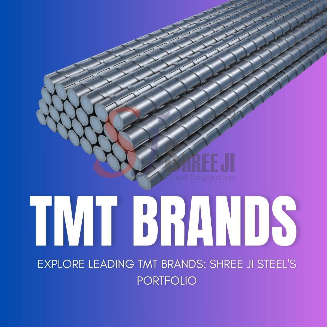 tmt brands in india